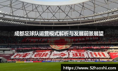成都足球队运营模式解析与发展前景展望